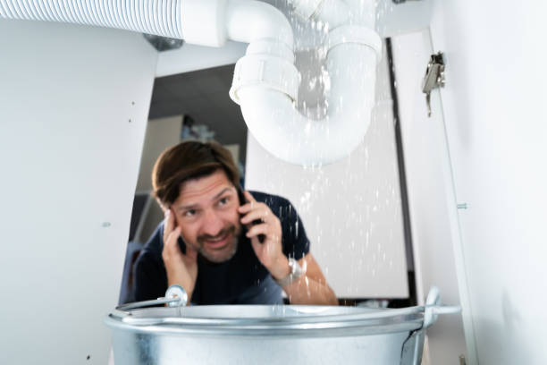 Best Clogged Drain Plumber  in St Joseph, MN